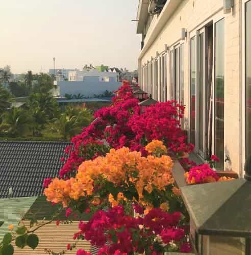 Anh Dao Mekong 2 Hotel Anh Dao Mekong 2 Hotel