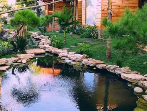 SORA HOMESTAY