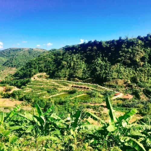 Ngo Gia Trang Farmstay Moc Chau - Venue Travel