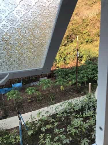 Pun corner homestay