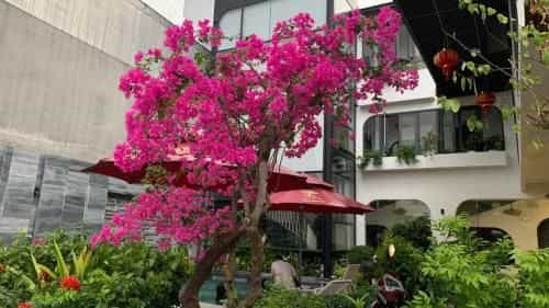 Life Boutique Hotel Life Boutique Hotel