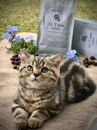 Je T’aime Villa Je T’aime Villa