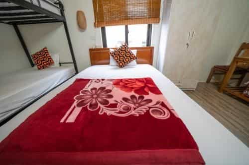 Phong Nha Homestay Phong Nha Homestay