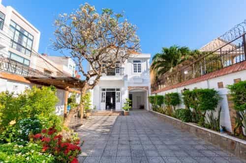 Palm villa 2