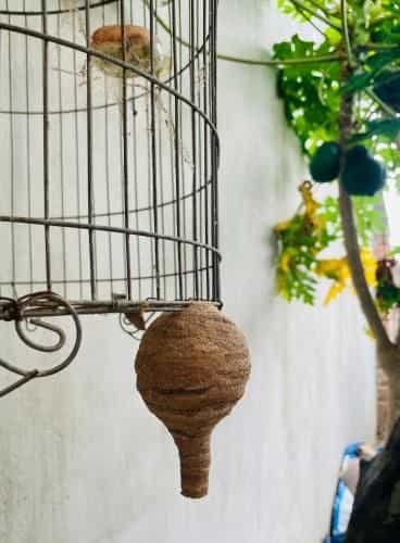 Vietnam Phuot Homestay
