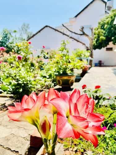 Vietnam Phuot Homestay
