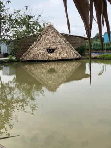Maison en Bambou Phong-Le Vent Maison en Bambou Phong-Le Vent