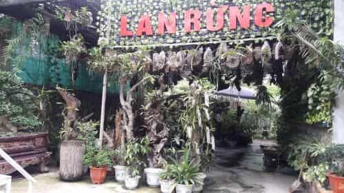 Homestay Lan Rung Homestay Lan Rung