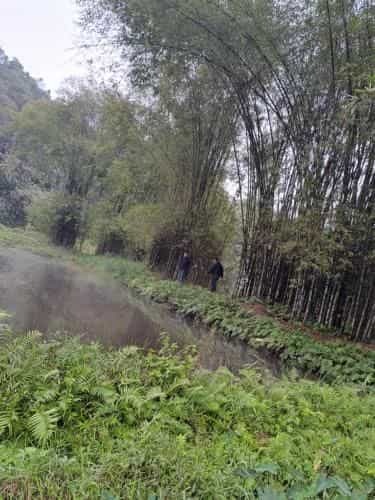 Muong Bi Homestay
