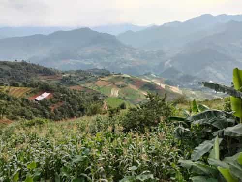 Indigenous homestay Indigenous homestay