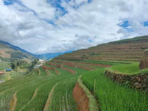 Indigenous homestay Indigenous homestay