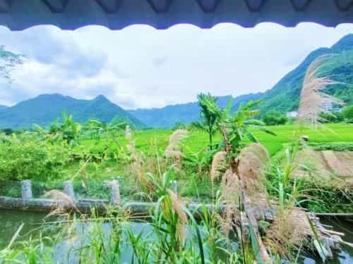 Quan Hang Homestay