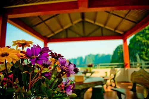 Trang An Mountain View Homestay Trang An Mountain View Homestay