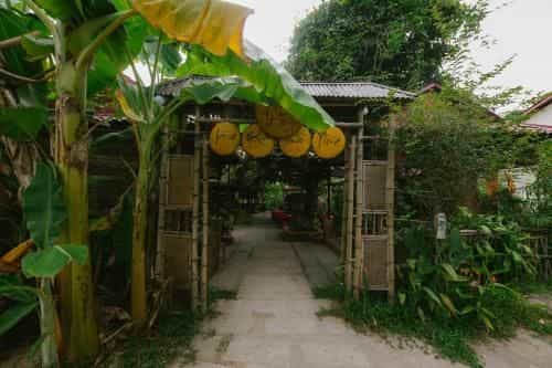 Hue Lotus Homestay Hue Lotus Homestay