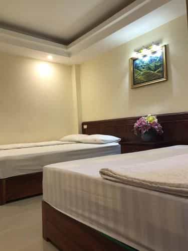 Camellia Guest House Camellia Guest House