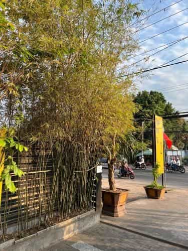 Ngoc Kha Tu 2 Hotel Ngoc Kha Tu 2 Hotel