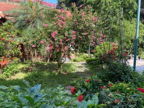 Trang An Passion Homestay Trang An Passion Homestay