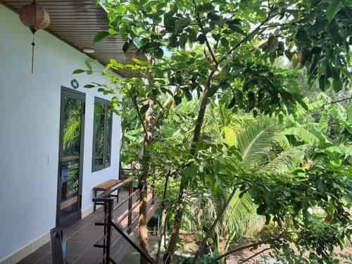Hung Phat Bungalow Hung Phat Bungalow