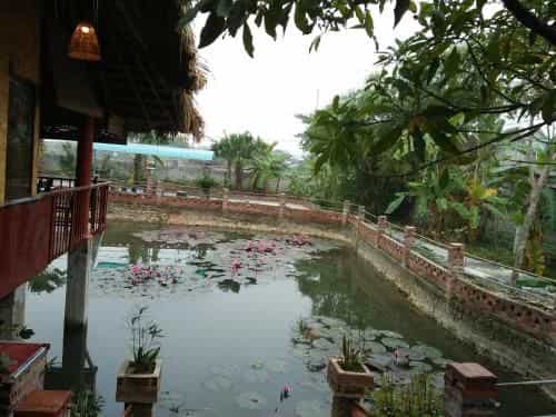 Ninh Binh Eco Garden Ninh Binh Eco Garden