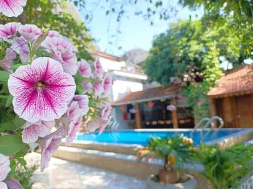 Tam Coc Sunshine Homestay Tam Coc Sunshine Homestay