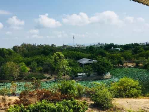 Ocean Pearl Villa