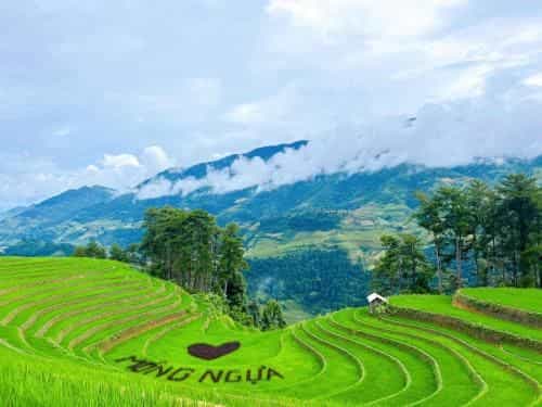 Ngọc Thúy Homestay Mù Cang Chải Ngọc Thúy Homestay Mù Cang Chải