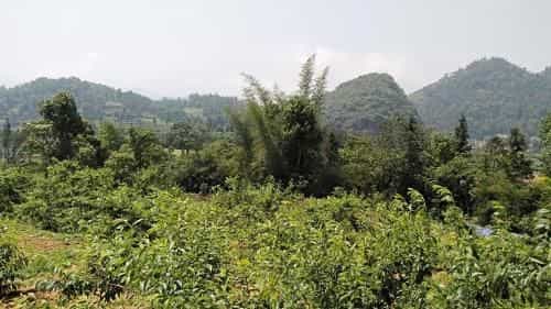 So H'mong Homestay So H'mong Homestay