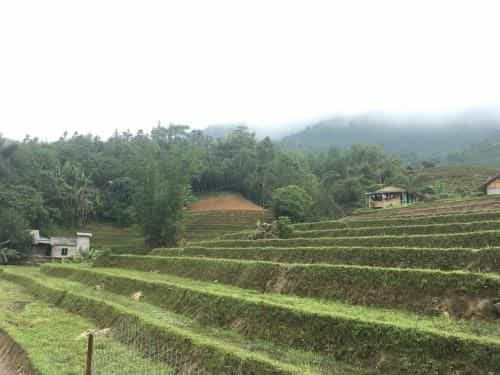 Ta Van Heaven Homestay Ta Van Heaven Homestay