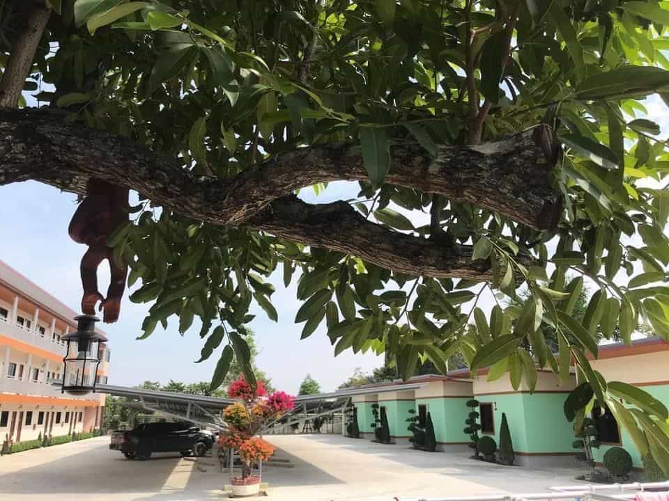 Baan Suan Homestay Watklang Bangphra Baan Suan Homestay Watklang Bangphra