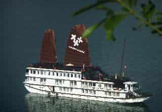 Jasmine Cruise
