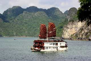 Violet Cruise