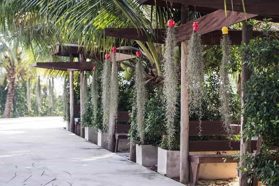 Hua Pho Resort Hua Pho Resort