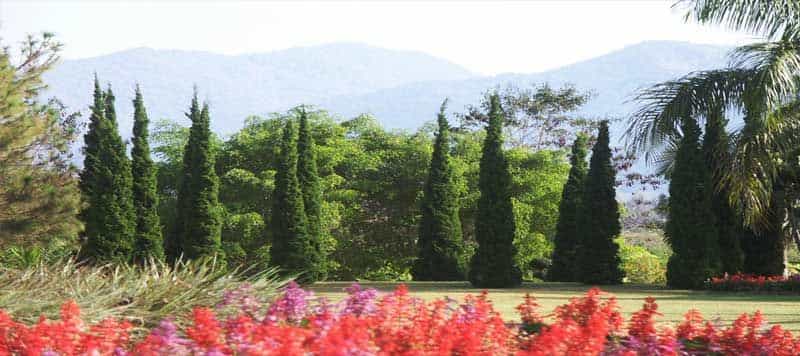 Juthamas Resort Chiangklang