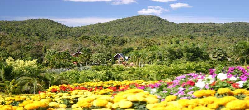 Juthamas Resort Chiangklang
