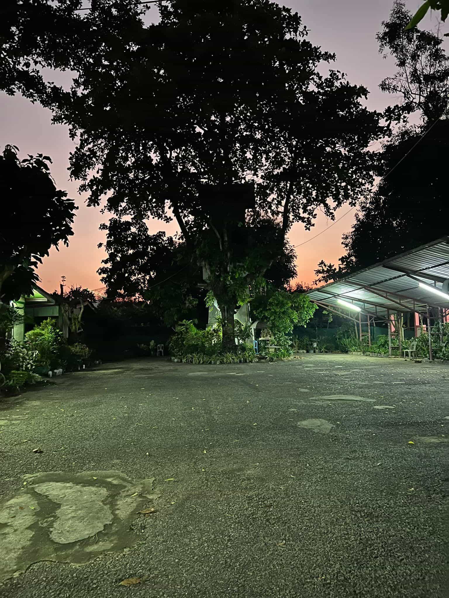Auangkham hotel Fang