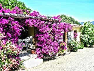 Residence Torre delle Stelle
