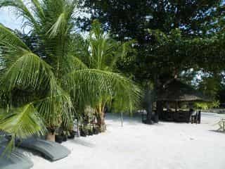 Precious Garden of Samal