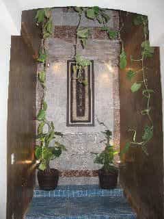 Hotel El Andariego