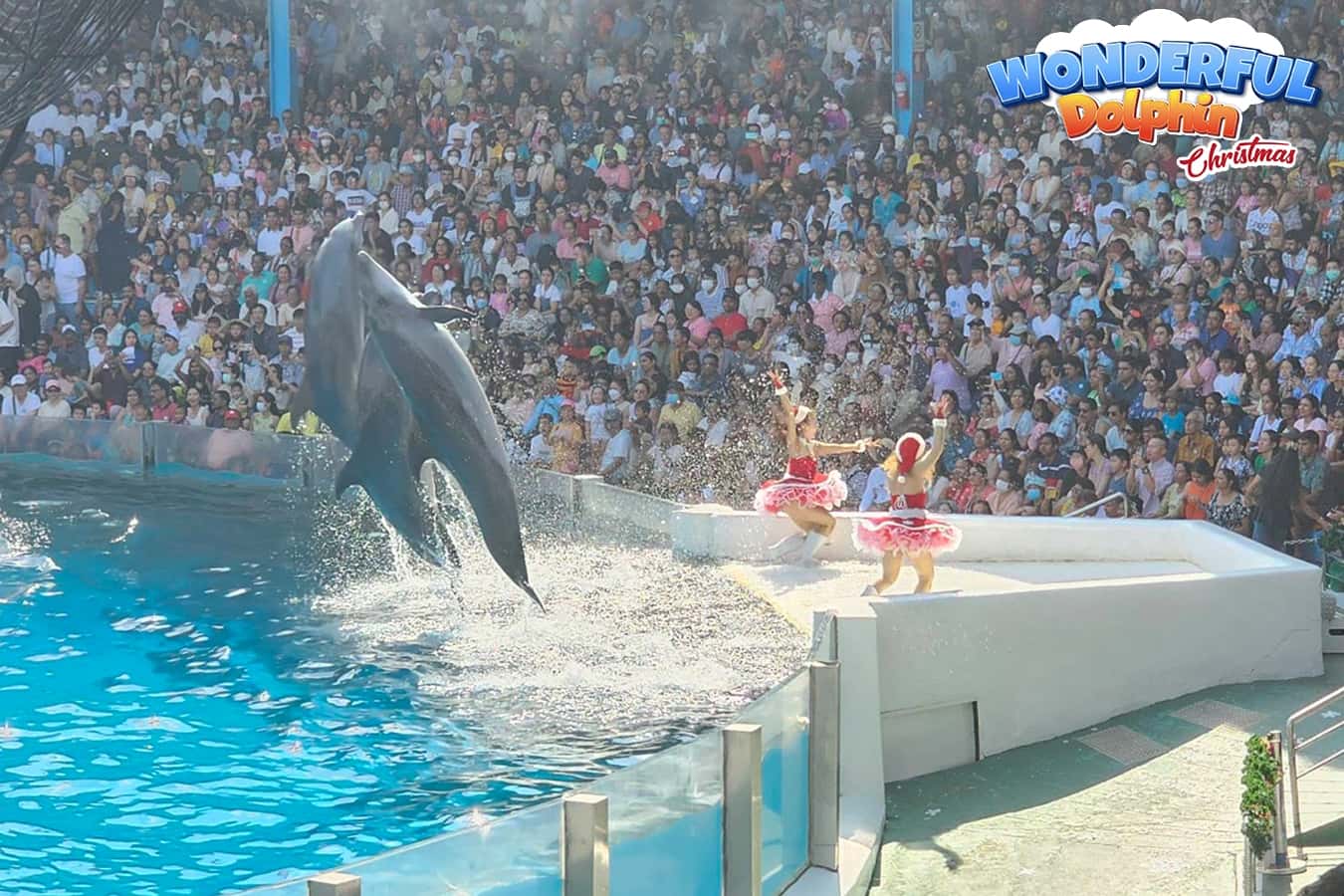 บัตรเข้าสวนสัตว์ซาฟารีเวิลด์ กรุงเทพ สำหรับคนไทย (Thai Resident)3