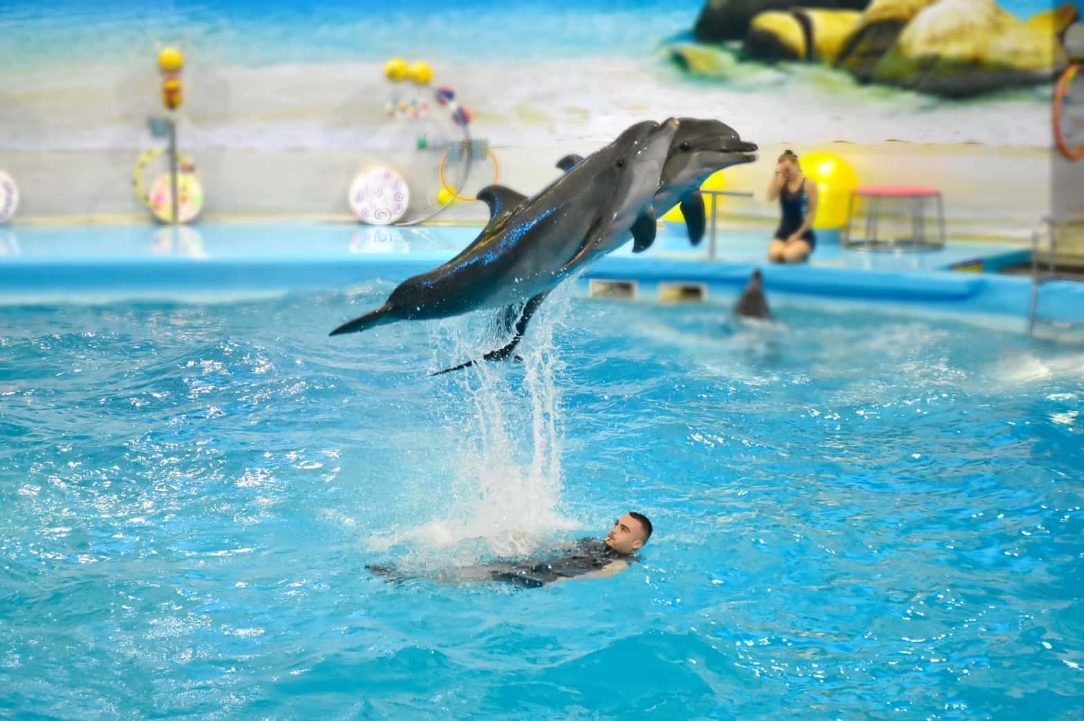 Dolphins Bay Phuket for Thai Residents1