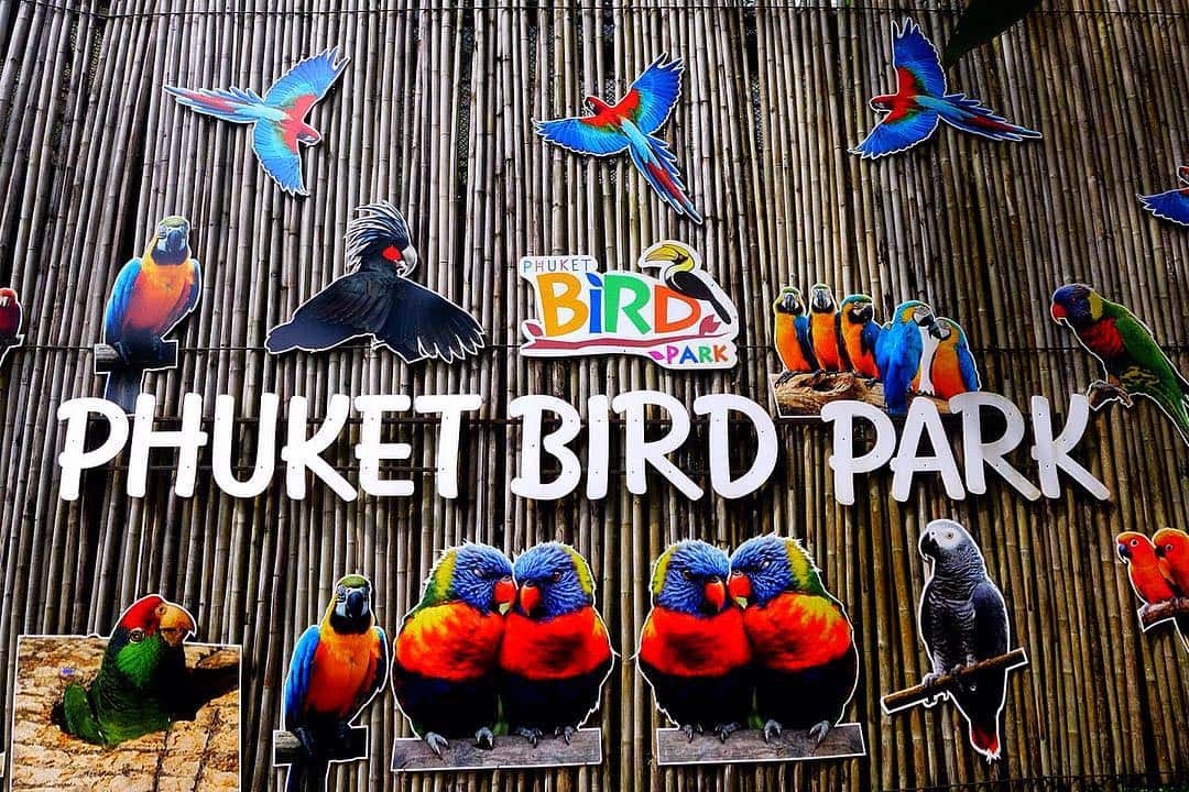 บัตรเข้าชมสวนนกภูเก็ต (Phuket Bird Park)1