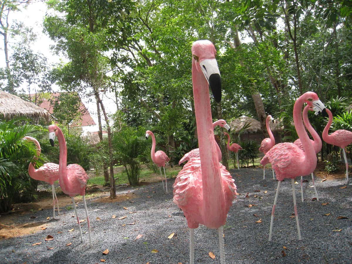 บัตรเข้าชมสวนนกภูเก็ต (Phuket Bird Park)3