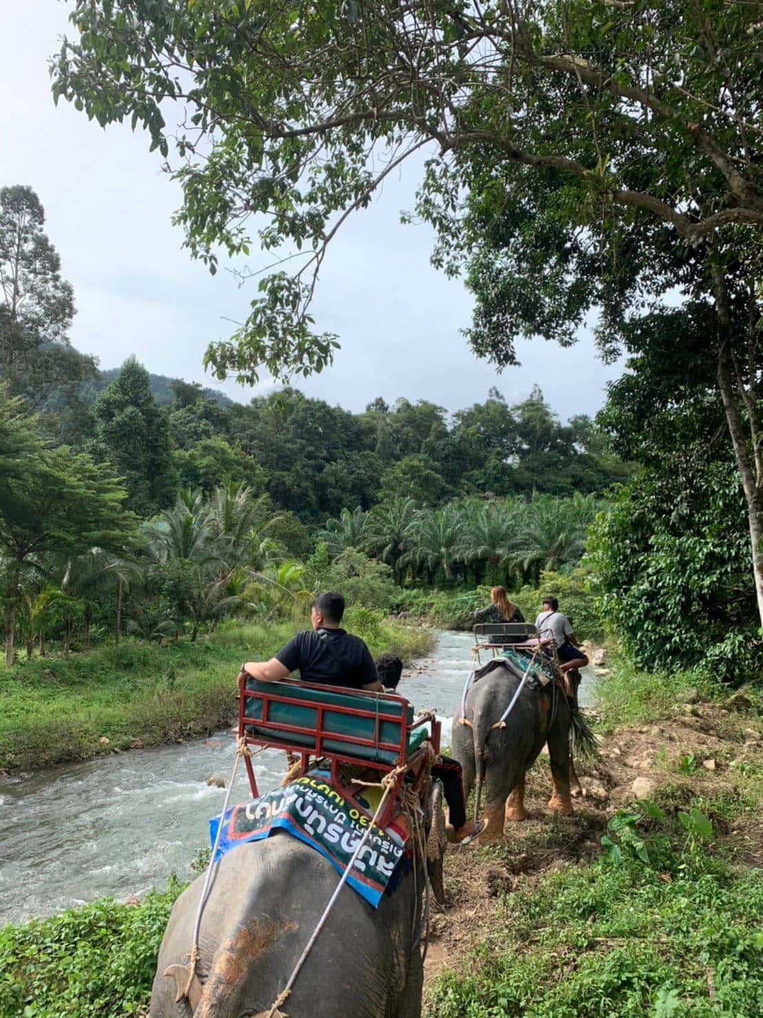 White Water Rafting and ATV 30 mins and Elephant Trekking Trips and Day Trips1