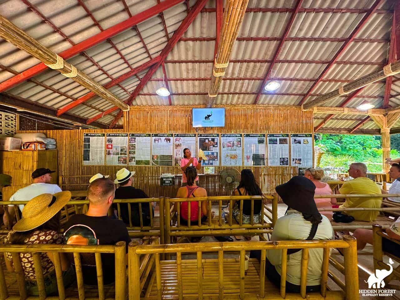 Phuket: Hidden Forest Elephant Reserve with Meal & Transfer Trips and Day Trips4