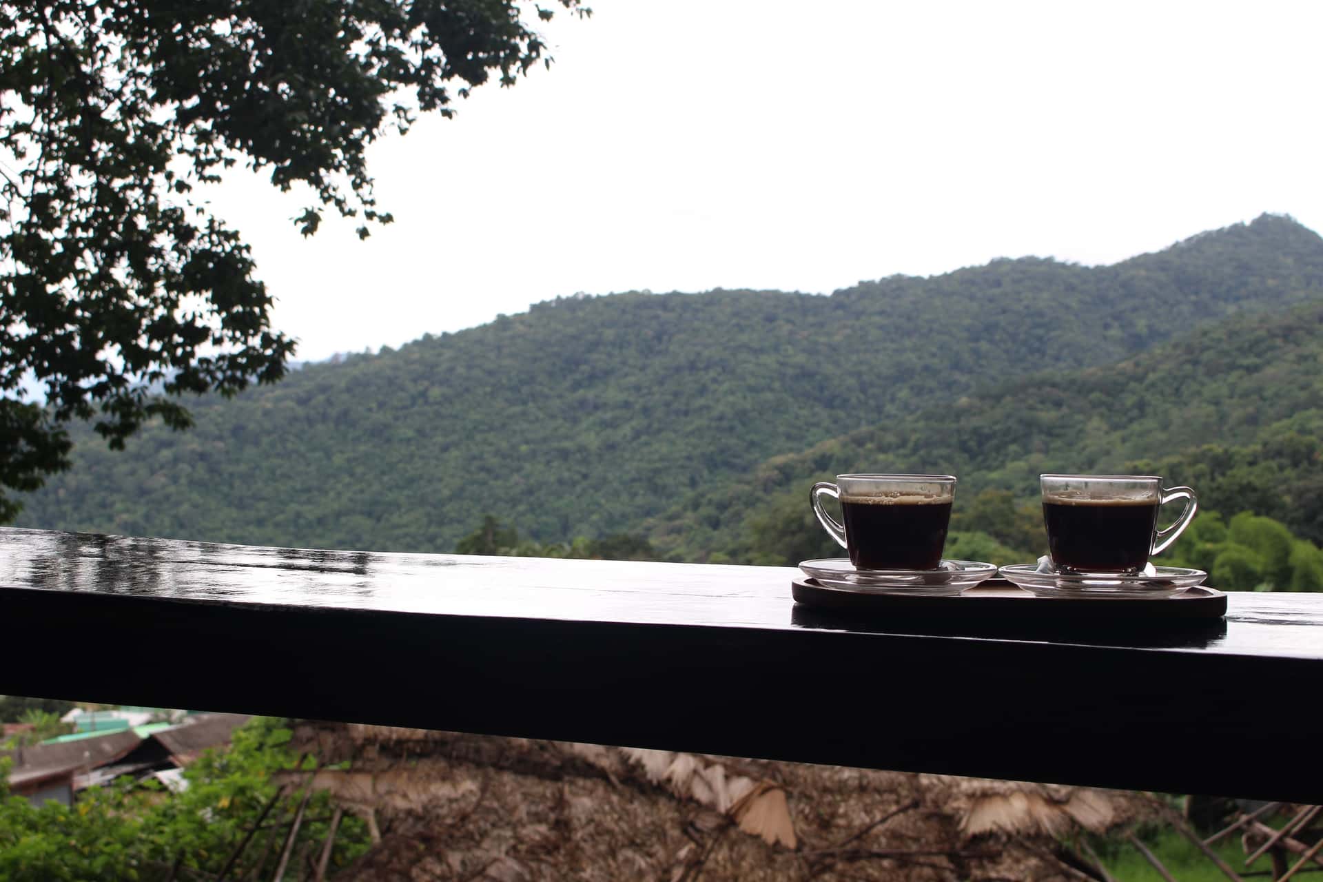 Doi Suthep Temple & Hmong Hill Tribe Village Half-Day (Hotel Pick) Trips and Day Trips4