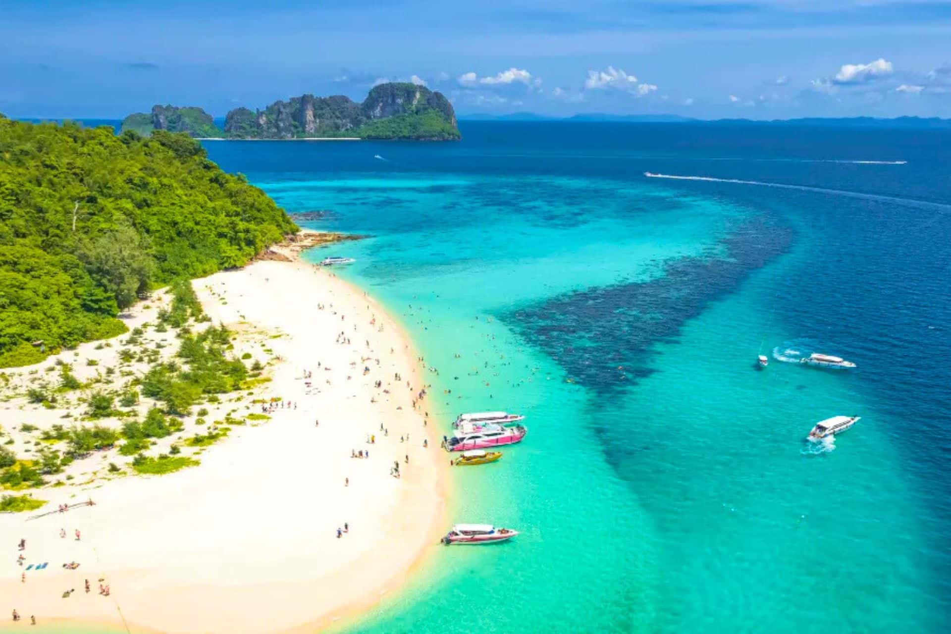 Phuket: Phi Phi & Bamboo Island Day Trip with Buffet Lunch Trips and Day Trips4