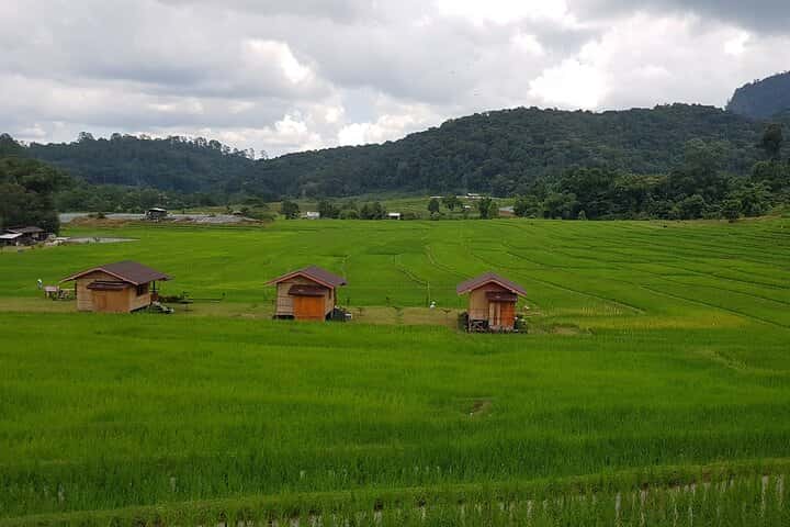 Doi Inthanon National Park Day Tour : Thailand's Highest Point Trips and Day Trips4
