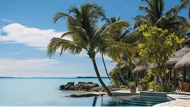 Book Hotels