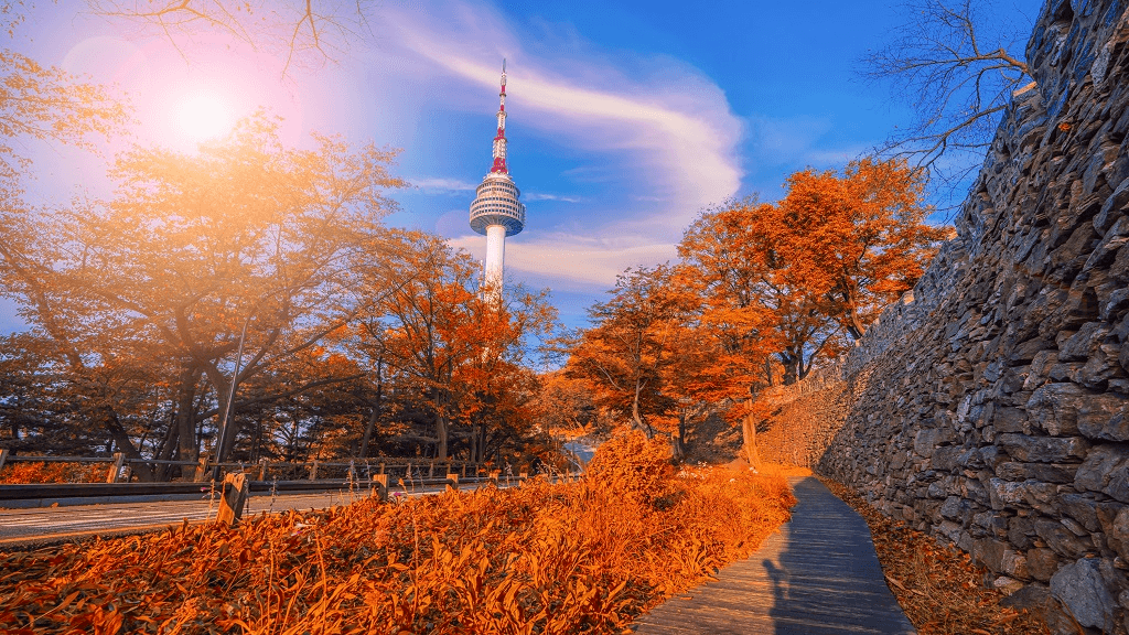 N Seoul Tower4