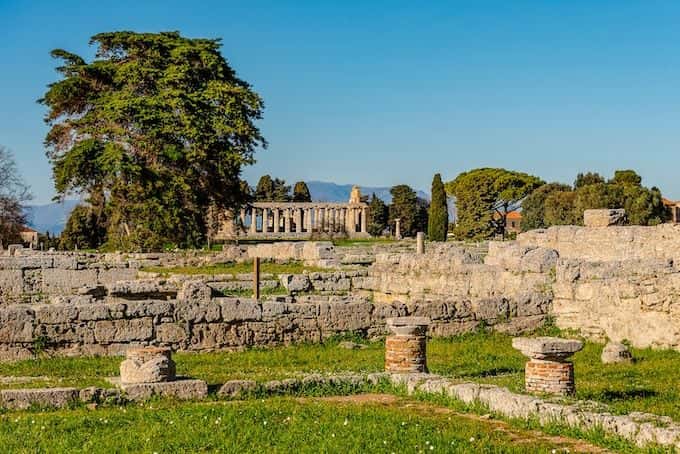 2-hour guided tour in Paestum3